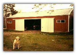 Dry Stock/Horse Barn and Tripper the dog